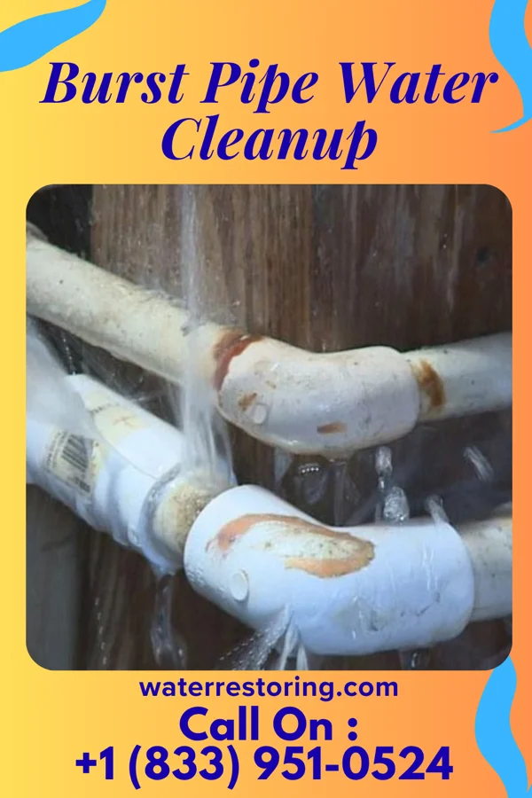 Burst Pipe Water Cleanup in Schiller Park, IL